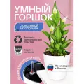 Горшок/Кашпо с автополивом для домашних растений и цветов 5,5л Белый