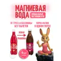 Вода минеральная негазированная Zajecicka Horka (Зайечицкая горькая) без газа 4шт. по 0.5л
