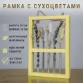 Сухоцветы для декора с вазочками Trava Decor Лаванда, Хлопок, Гипсофила, пампасная трава, Эвкалипт сухоцвет, Стабилизированные цветы