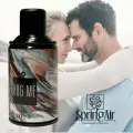 Освежитель воздуха Spring Air аэрозольный, аромат: Обними меня, сменный флакон, 250 мл, 3000 впрыскиваний, 02-04-1596