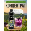 Основа для напитков Torry Ежевика Можжевельник Мята, натуральный состав, 1кг