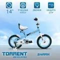 Детский велосипед TORRENT Shark (добавочные колёса,1скорость, колёса 14, рама сталь)