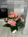 10 цветков. Латексный искусственный напольный антуриум мужское счастье в горшке
