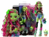 Кукла Mattel Monster High - Венера МакФлайтрап + животное-растение кот Чулиан - Кукла с аксессуарами Монстр Хай HRP81