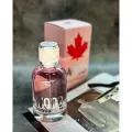 Туалетная вода женская 100мл Dsquared2 Wood