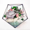 Флорариум с суккулентами Бархатная нежность с озером Икосаэдр 14см (Ø16см)