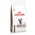 Сухой корм для кошек Royal Canin Hepatic HF26, при проблемах с печенью, 3 шт. х 2 кг