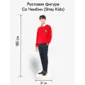 Аксессуар для фотосессий, Indoor-ad, Со Чанбин (Stray Kids) 2, ростовая фигура