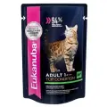 Влажный корм для кошек Eukanuba Top Condition, для здоровья кожи и блеска шерсти, с говядиной, 26 шт. х 85 г (кусочки в соусе)