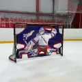 Хоккейный имитатор вратаря на стандартные ворота
