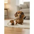 Игрушка для собак Japan Premium Pet кожаный буксир жираф для коррекции поведения и массажа десен