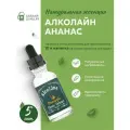 Ароматизатор Alcostar (Alcotec) Ананас, 30 мл - 5 шт