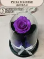 Стабилизированные цветы в стекле, Роза в колбе живая Giamur Plus фиолетовая, подарочный набор для женщины, долговечный букет, GIFT4YOU