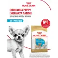 Корм для собак Royal Canin Chihuahua Puppy (Чихуахуа Паппи) сухой для щенков породы Чихуахуа до 8 месяцев, 1,5 кг