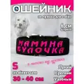 Ошейник для собак Buddy team на пряжке, с вышивкой мамина булочка, ширина 6 см, с мягким подкладом для средних и крупных пород, размер S