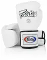 Боксерские перчатки Fairtex BGV5 16 унций
