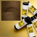 REDKEN Краска для волос Color Gels Oils 6GI 60 МЛ