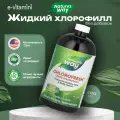 Nature's Way Chlorofresh Жидкий хлорофилл неароматизированный 473 мл Жидкий хлорофилл неароматизированный