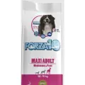 Forza 10 - полнорационный корм для крупных собак с рыбой 12,5 кг