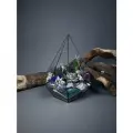 Флорариум с суккулентами от Flolefor Цветы у озера, 16х16х21 см (ДхШхВ)