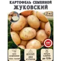Клубни картофеля на посадку, Жуковский, (суперэлита) 2 кг Очень ранний