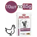Royal Canin Renal With Chicken влажный корм для взрослых кошек для поддержания функции почек с курицей, кусочки в соусе, в паучах - 85 г x 10 шт.