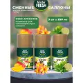 Освежитель воздуха Master Fresh, сменный баллон, для Air Wick, Glade, 250 мл