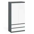 Шкаф с ящиками СВК Мори МШ900.1 ЛДСП цвет графит/белый, 2 ящика, 2 двери, размер 90х50х180см