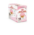 Влажный корм в желе Royal Canin Kitten Jelly (Киттен Желе) для котят до 12 месяцев, 12шт * 85 г