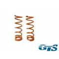 Пружины Технорессор для а/м ВАЗ 2108-2115 задние, занижение -50 драйв