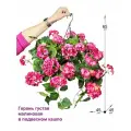 Пеларгония ампельная 4 куста малиновая в коковите от ФитоПарк, подвесные искусственные цветы