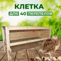 Клетка для перепелов на 40 голов с яйцесборником Подворье, деревянная