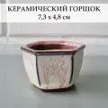 Керамический горшок для суккулентов и кактусов / Керамический горшок для цветов