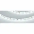 Светодиодная Лента RT-A60-8mm 24V White6000 (4.8 W/m, IP20, 2835, 50m) (Arlight, 4.8 Вт/м, IP20) 024581(2)
