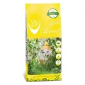 Комкующийся наполнитель Vancat VAN CAT Natural Standart для кошачьих туалетов стандарт, без пыли 15 кг