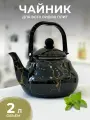 Эмалированный чайник для кухни TK121 2 л