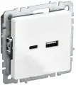 Розетка c USB двойная РЮ11-1-БрБ A+ type C 18Вт IEK серия BRITE