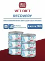 Влажный диетический корм для собак и кошек Solid Natura VET Recovery Support, упаковка 6 шт х 100 гр
