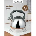 Чайник Agness со свистком, 3 л. термоаккумулирующее дно, индукция (937-909)