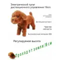 Электрический - Pet Sexual Companion - Брачное отверстие - 3 размера на выбор-18