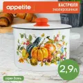 Кастрюля эмалированная Осень 2,9л ТМ Appetite