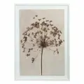 Панно декоративное 50х70 см Plant с белой рамой на стену Bergenson Bjorn BB0000853