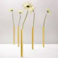 Набор ваз магнитных Peleg Design Magnetic Vase, 5 шт, золотой