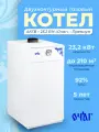 Газовый напольный котёл АКГВ - 23,2 ЕМ Очаг - Премиум, двухконтурный