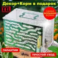 Муравьиная Экосистема - большая муравьиная ферма с полным комплектом для разведения