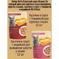 Набор №14 Влажный корм Мнямс для взрослых кошек, кусочки в соусе с говядиной и индейкой, 24 шт х 85 гр