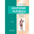 Анатомия человека : учебник : в 2 томах
