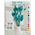 Сухоцвет Лагурус для декора Trava Decor букет цветов для вазы, зеленая