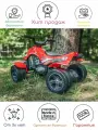 Квадроцикл с педалями и цепным приводом FALK; красный