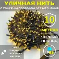 Гирлянда уличная 10м ip65 с мерцанием и толстым проводом (Черная/Теплая)